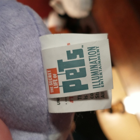 The Secret Life of Pets - Max the dog, Gidget the dog & Chloe the cat - Picture 8 of 10